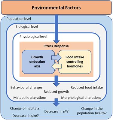 The effect of environmental stressors on growth in fish and its endocrine control